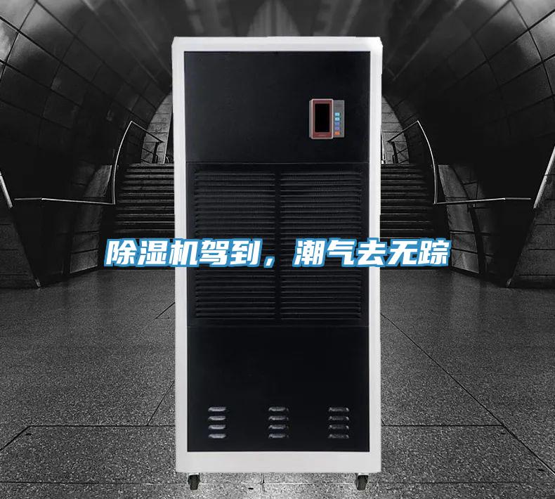 除濕機(jī)駕到，潮氣去無(wú)蹤