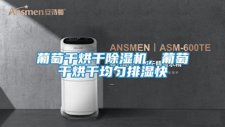葡萄干烘干除濕機，葡萄干烘干均勻排濕快