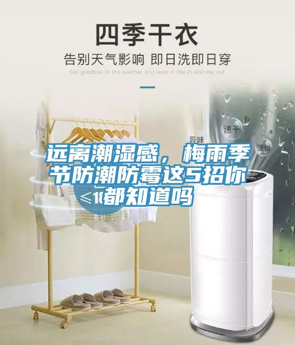 遠(yuǎn)離潮濕感，梅雨季節(jié)防潮防霉這5招你都知道嗎