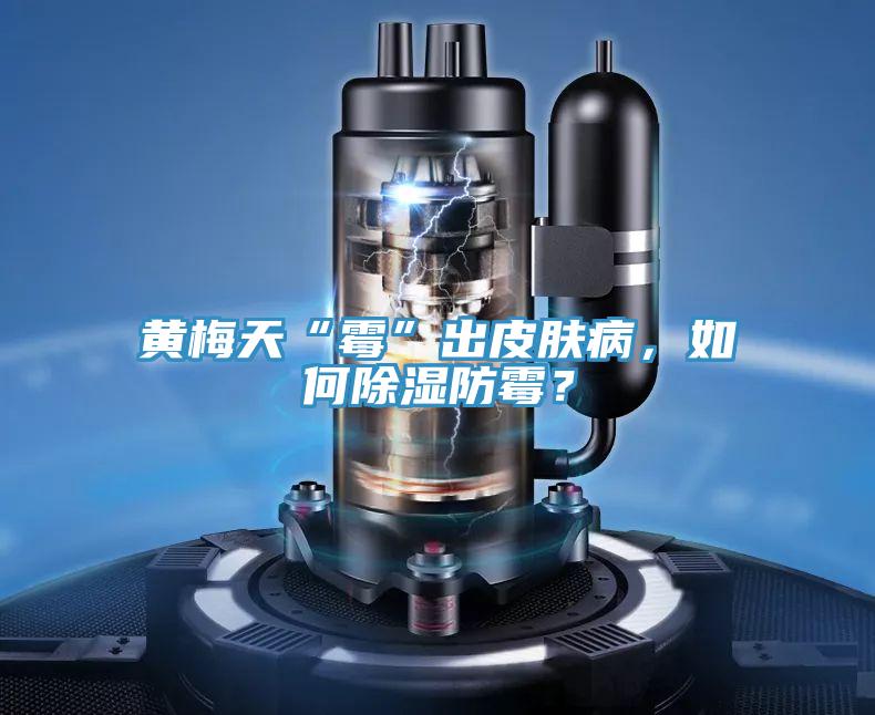 黃梅天“霉”出皮膚病，如何除濕防霉？