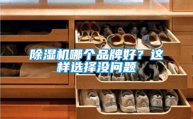 除濕機(jī)哪個(gè)品牌好？這樣選擇沒(méi)問(wèn)題