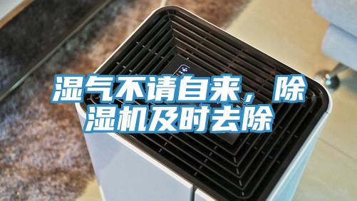 濕氣不請自來，除濕機(jī)及時去除
