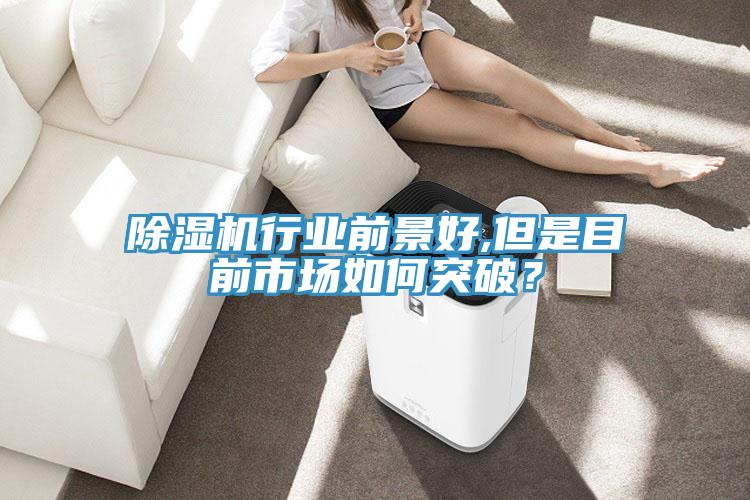 除濕機(jī)行業(yè)前景好,但是目前市場如何突破？