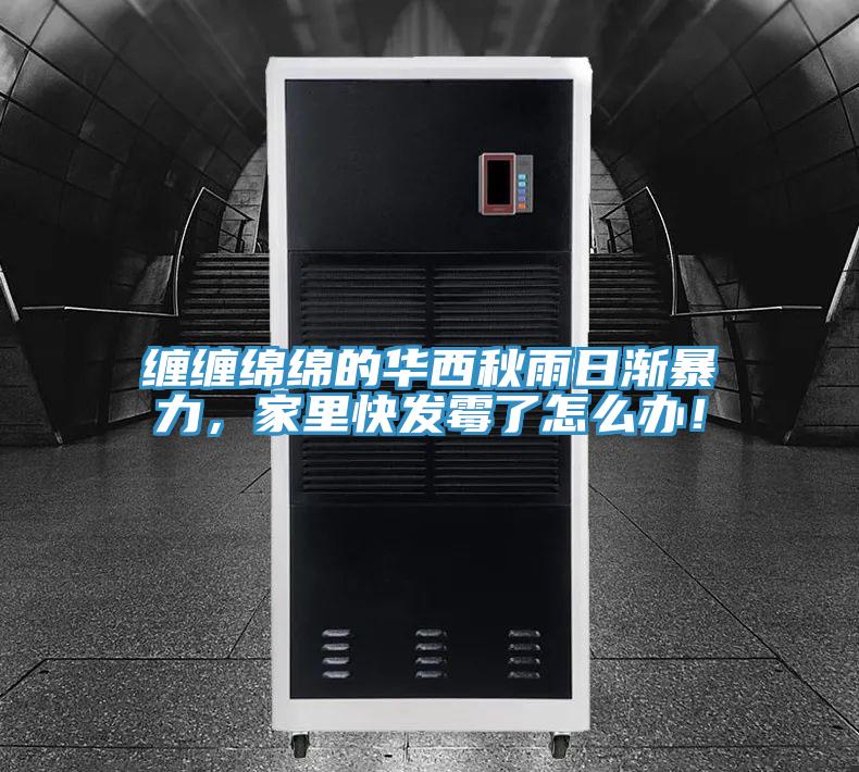 纏纏綿綿的華西秋雨日漸暴力，家里快發(fā)霉了怎么辦！