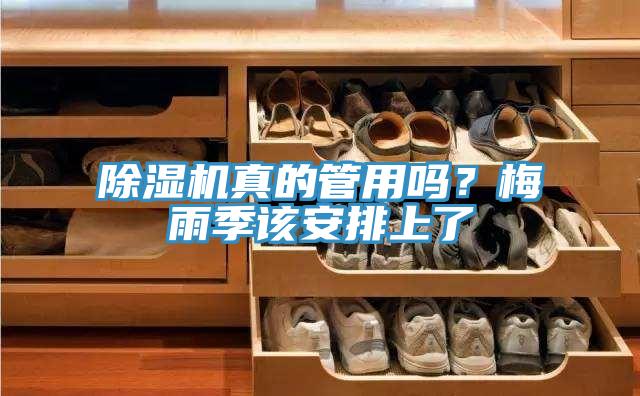 除濕機(jī)真的管用嗎？梅雨季該安排上了