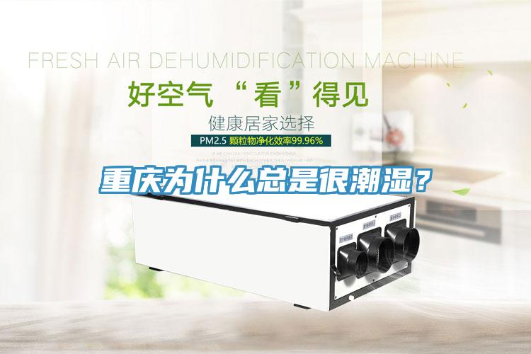 重慶為什么總是很潮濕？