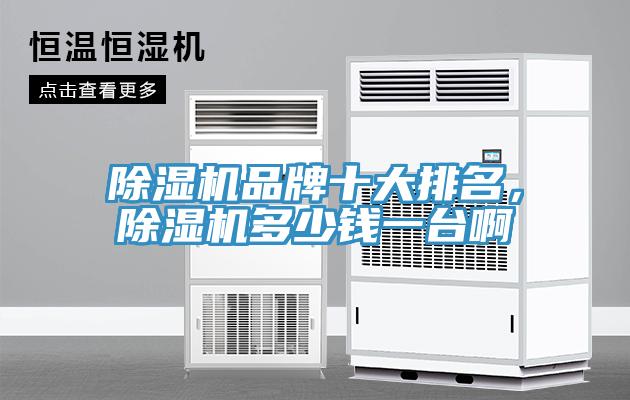 除濕機(jī)品牌十大排名，除濕機(jī)多少錢(qián)一臺(tái)啊