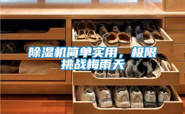 除濕機簡單實用，極限挑戰(zhàn)梅雨天