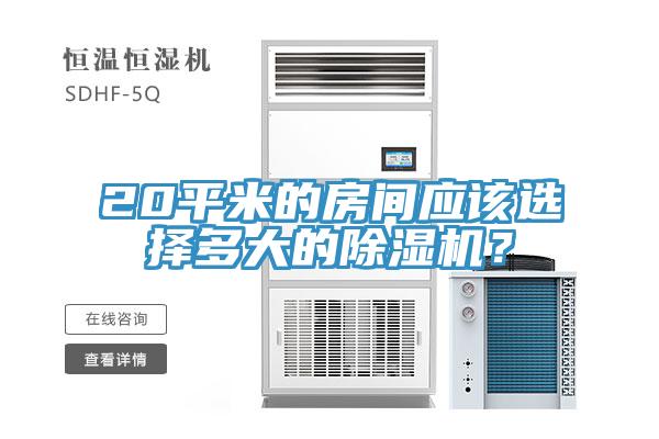 20平米的房間應該選擇多大的除濕機？