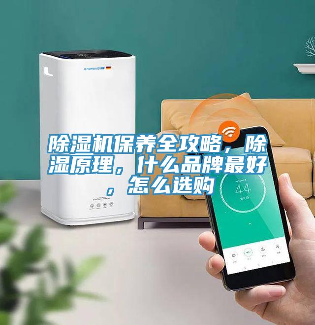 除濕機保養(yǎng)全攻略，除濕原理，什么品牌最好，怎么選購