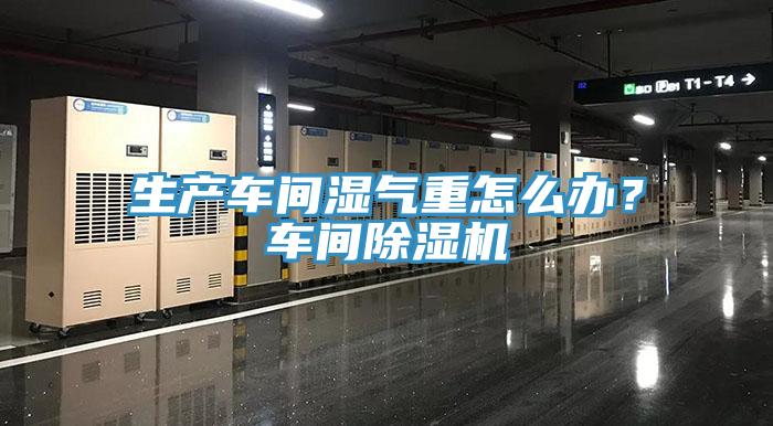 生產(chǎn)車間濕氣重怎么辦？車間除濕機(jī)