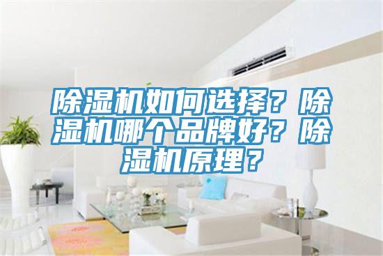除濕機(jī)如何選擇？除濕機(jī)哪個(gè)品牌好？除濕機(jī)原理？
