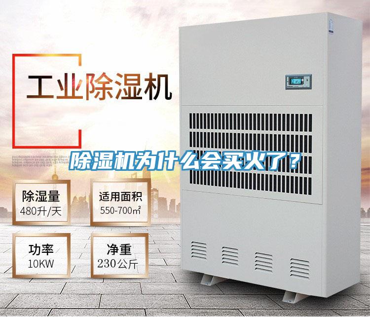 除濕機為什么會買火了？