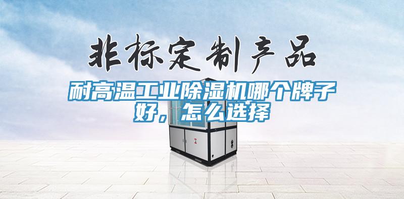 耐高溫工業(yè)除濕機(jī)哪個(gè)牌子好，怎么選擇
