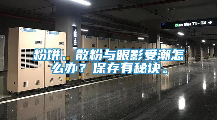 粉餅、散粉與眼影受潮怎么辦？保存有秘訣。