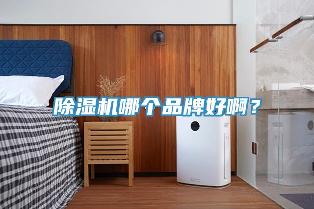 除濕機(jī)哪個(gè)品牌好??？