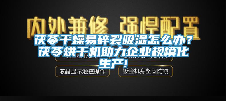 茯苓干燥易碎裂吸濕怎么辦？茯苓烘干機(jī)助力企業(yè)規(guī)?；a(chǎn)!