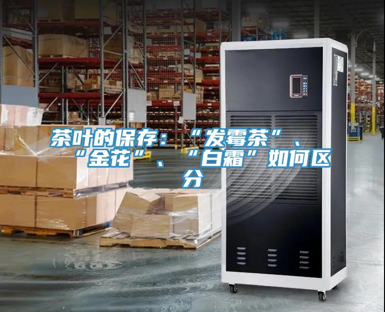 茶葉的保存：“發(fā)霉茶”、“金花”、“白霜”如何區(qū)分