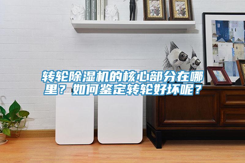 轉輪除濕機的核心部分在哪里？如何鑒定轉輪好壞呢？