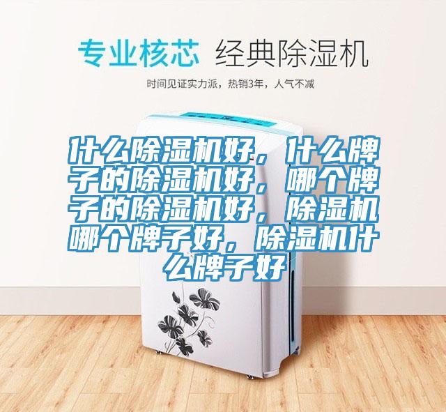 什么除濕機好，什么牌子的除濕機好，哪個牌子的除濕機好，除濕機哪個牌子好，除濕機什么牌子好