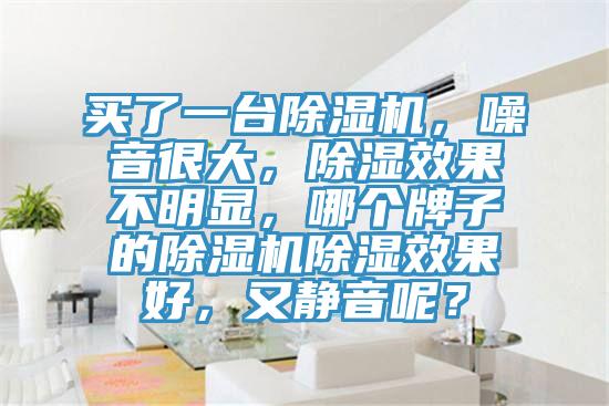 買了一臺除濕機，噪音很大，除濕效果不明顯，哪個牌子的除濕機除濕效果好，又靜音呢？