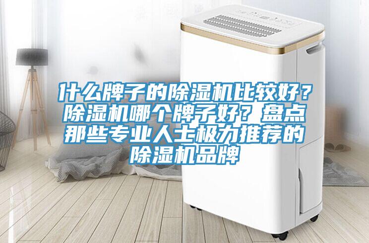什么牌子的除濕機比較好？除濕機哪個牌子好？盤點那些專業(yè)人士極力推薦的除濕機品牌