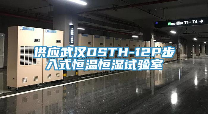 供應(yīng)武漢DSTH-12P步入式恒溫恒濕試驗室
