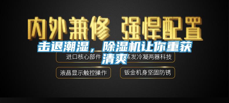 擊退潮濕，除濕機讓你重獲清爽