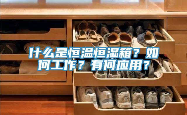 什么是恒溫恒濕箱？如何工作？有何應(yīng)用？