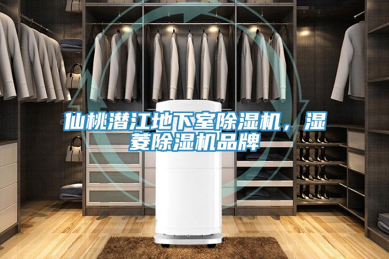 仙桃潛江地下室除濕機(jī)，濕菱除濕機(jī)品牌