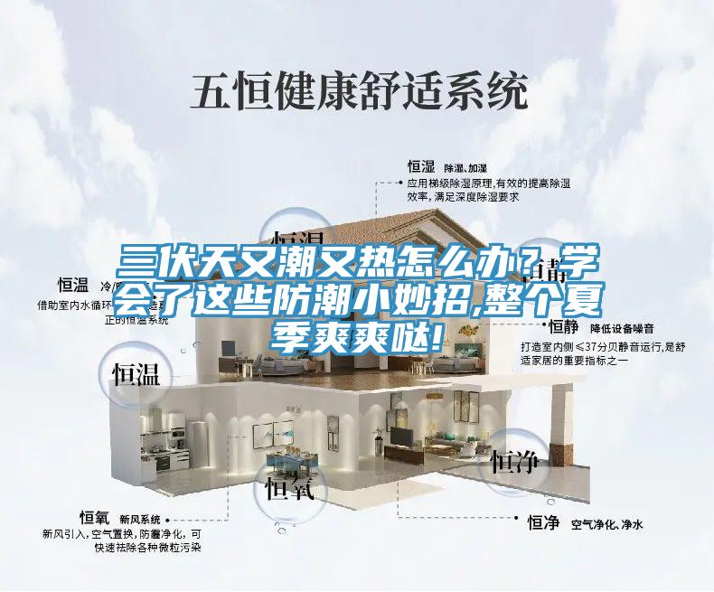 三伏天又潮又熱怎么辦？學(xué)會了這些防潮小妙招,整個夏季爽爽噠!