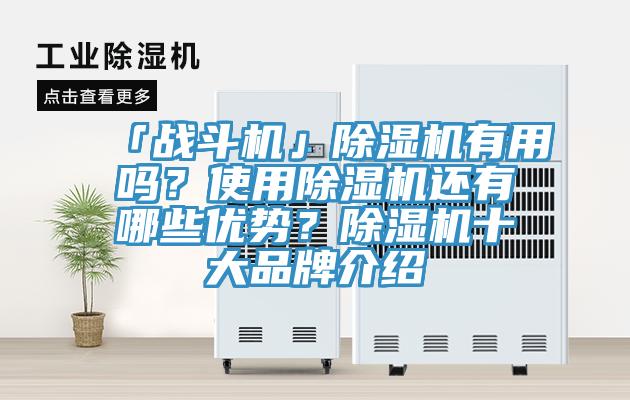 「戰(zhàn)斗機(jī)」除濕機(jī)有用嗎？使用除濕機(jī)還有哪些優(yōu)勢(shì)？除濕機(jī)十大品牌介紹