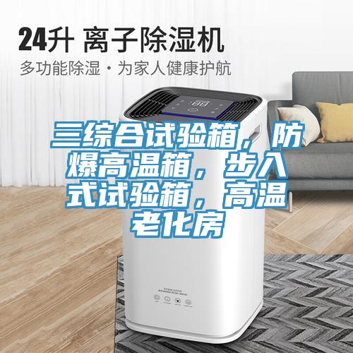 三綜合試驗(yàn)箱，防爆高溫箱，步入式試驗(yàn)箱，高溫老化房