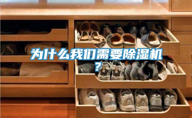 為什么我們需要除濕機(jī)？