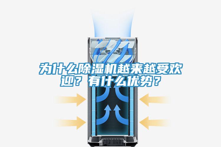為什么除濕機越來越受歡迎？有什么優(yōu)勢？
