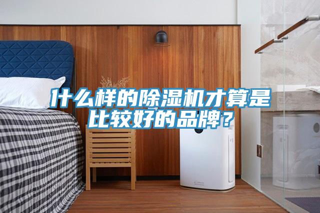 什么樣的除濕機(jī)才算是比較好的品牌？