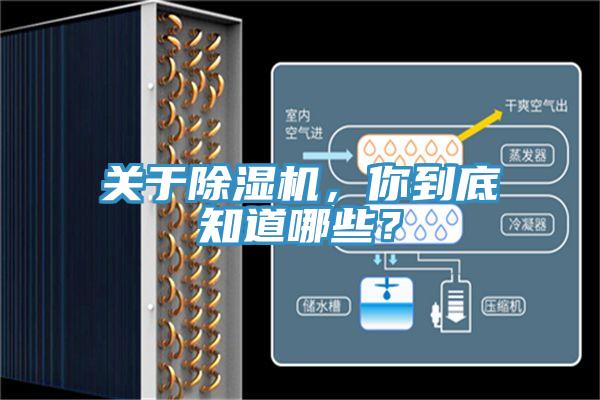 關(guān)于除濕機(jī)，你到底知道哪些？