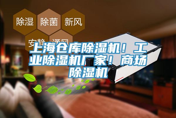 上海倉(cāng)庫(kù)除濕機(jī)！工業(yè)除濕機(jī)廠家！商場(chǎng)除濕機(jī)