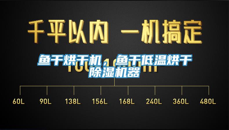 魚干烘干機(jī)，魚干低溫烘干除濕機(jī)器