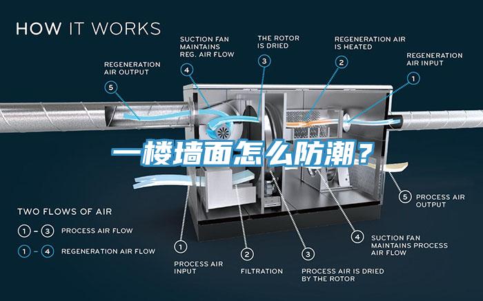 一樓墻面怎么防潮？