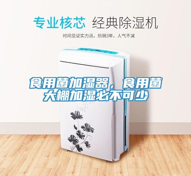 食用菌加濕器，食用菌大棚加濕必不可少