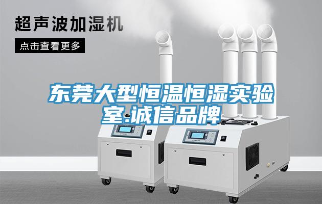 東莞大型恒溫恒濕實(shí)驗室.誠信品牌