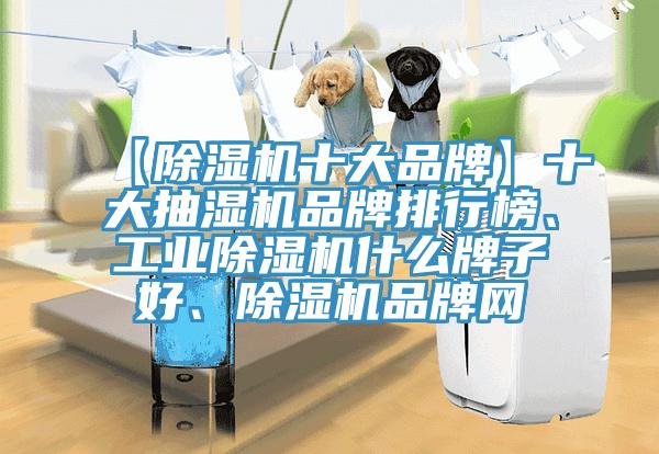 【除濕機(jī)十大品牌】十大抽濕機(jī)品牌排行榜、工業(yè)除濕機(jī)什么牌子好、除濕機(jī)品牌網(wǎng)