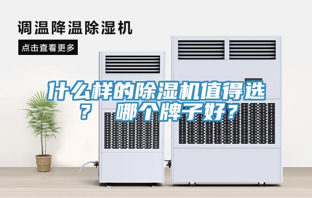什么樣的除濕機值得選？ 哪個牌子好？