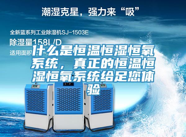 什么是恒溫恒濕恒氧系統(tǒng)，真正的恒溫恒濕恒氧系統(tǒng)給足您體驗