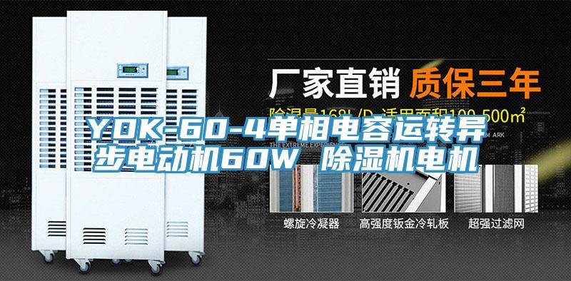 YDK-60-4單相電容運轉(zhuǎn)異步電動機(jī)60W 除濕機(jī)電機(jī)