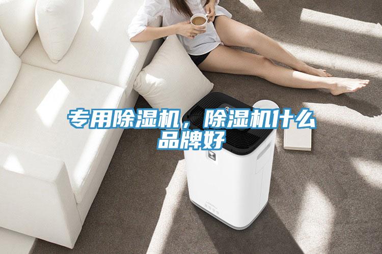 專用除濕機(jī)，除濕機(jī)什么品牌好