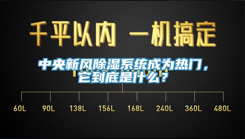 中央新風除濕系統(tǒng)成為熱門，它到底是什么？