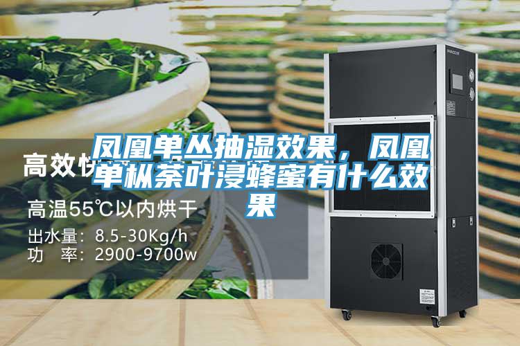 鳳凰單叢抽濕效果，鳳凰單樅荼葉浸蜂蜜有什么效果