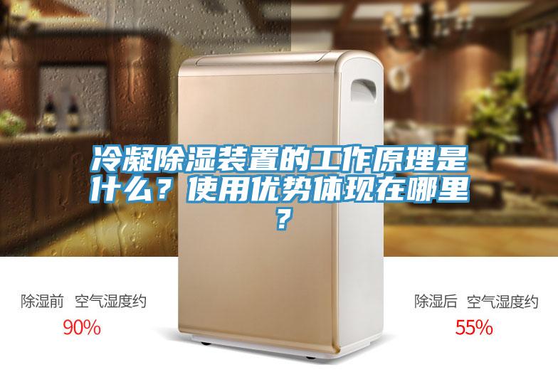 冷凝除濕裝置的工作原理是什么？使用優(yōu)勢(shì)體現(xiàn)在哪里？